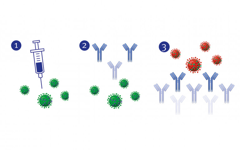 Comment fonctionne un vaccin