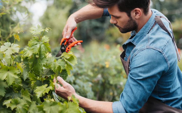 Homme travaille dans le jardin