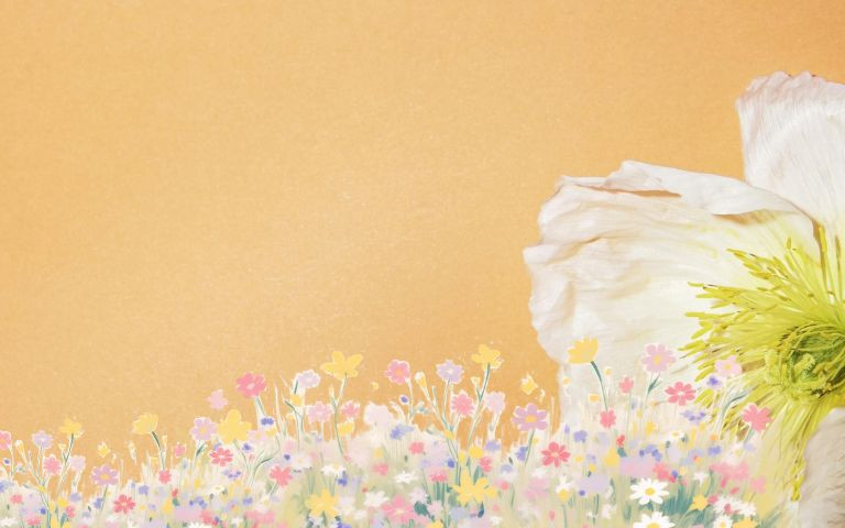 Fleurs sur fond orangé