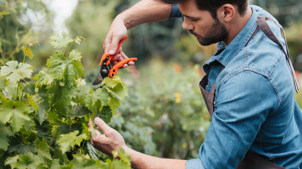 Man werkt in de tuin