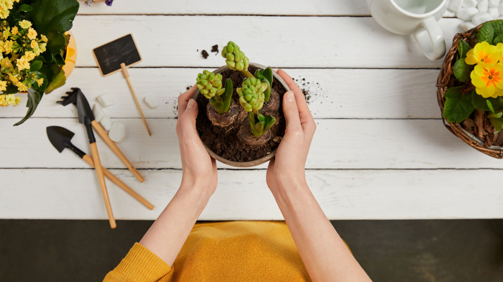 handen die een bloempot vasthouden