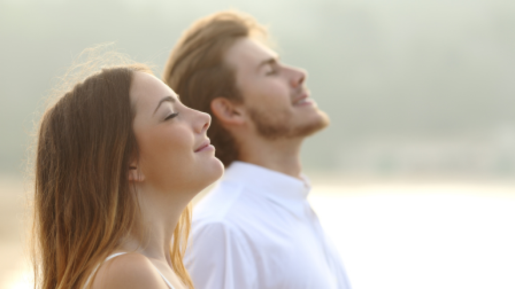 feiten en fabels roken