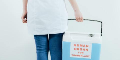 Verpleegkundige draagt transplantatie-orgaan in een koelbox