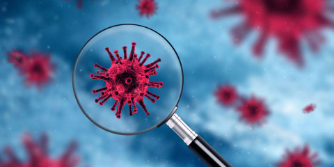 loupe coronavirus