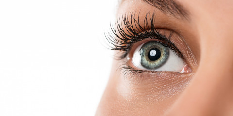 ML Hainaut-Namur - lentille de contact