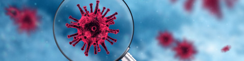 loupe coronavirus